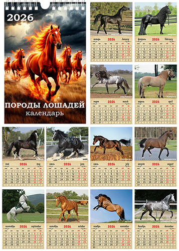 Перекидной календарь на 2026 год — Породы лошадей